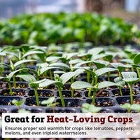 Agritape Heat Mat 10' and Medium Controller