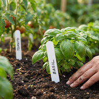Labels 6" Plastic
