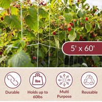 Trellis Netting 5' x 60'