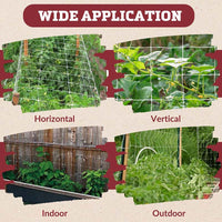 Trellis Netting 5' x 60'