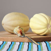 Squash Mashed Potatoes F1 Seed