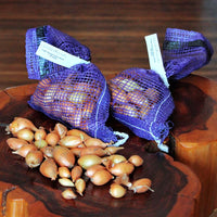Onion Sets - Fresh Packed Yellow Globe Live Plants