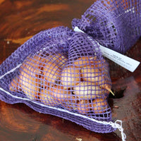 Onion Sets - Fresh Packed Yellow Globe Live Plants