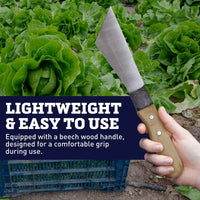 Lettuce Knife Carbon Steel Blade Wood Handle