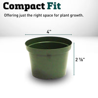 Azalea Pot 4"