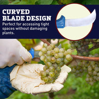 Grape Knife