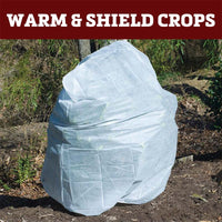 Plant Protection Bag