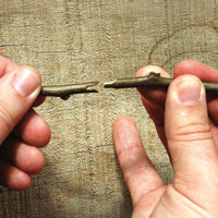 Grafting Tool