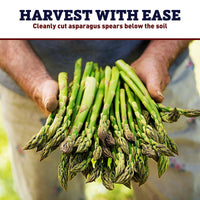 Asparagus Knife