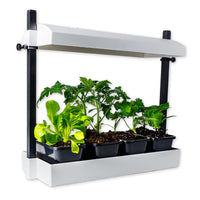 SunBlaster Micro Grow Light Garden - White