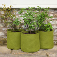 Haxnicks Vigoroot Pots 20L 3 pack