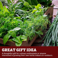 Grow Gardens Grow Herbs Kit