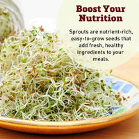 1 Quart Mason Jar and Sprouting Lid Combo