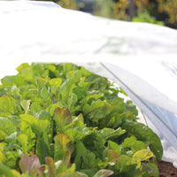 Row Cover Agribon AG-30 83" x 50'