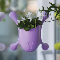 Livi Pot Lavender