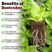 Oasis Rootcubes® Grow Cubes 104ct Sheet
