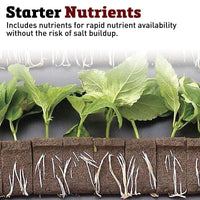 Oasis Rootcubes® Grow Cubes 104ct Sheet