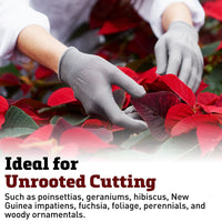 Oasis Rootcubes® Grow Cubes 104ct Sheet