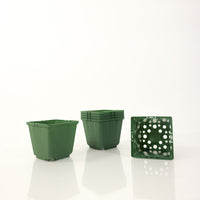 Dillen 4.5" Square Pot