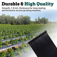 Black Plastic Mulch 3' x 4000'