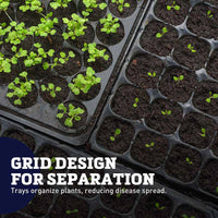 72 Cell Plug Trays