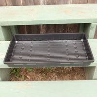 Tray No Drainage 11 X 21