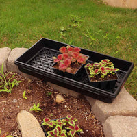 Tray No Drainage 11 X 21
