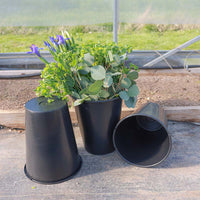 Cut Flower Display Buckets 13L Conical