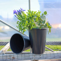 Cut Flower Display Buckets 13L Conical