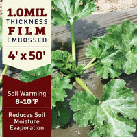 Solar Plastic Mulch 4' x 50'