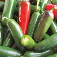 Pepper Early Jalapeno Organic Seed