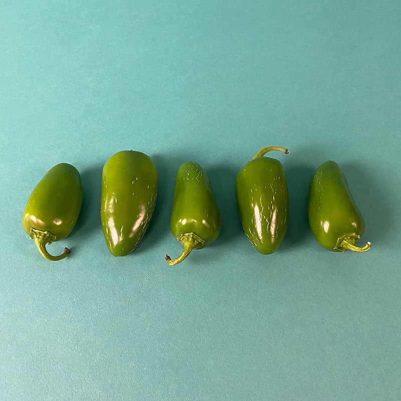 Pepper Early Jalapeno Organic Seed