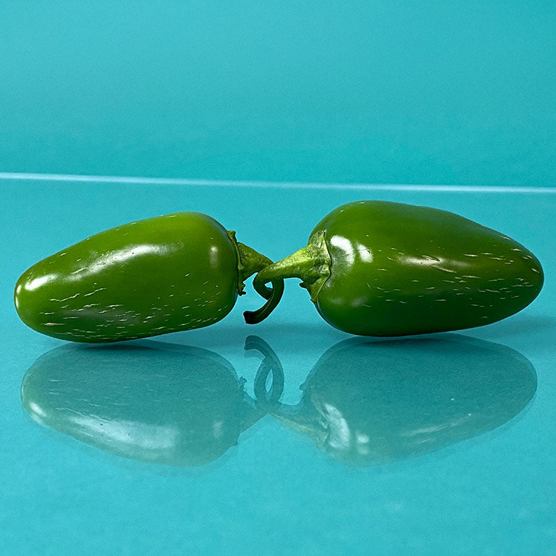 Pepper Early Jalapeno Organic Seed
