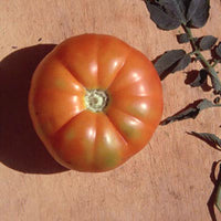 Tomato Beefsteak Organic Seed