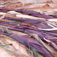 Ornamental Corn Red Stalker Seed