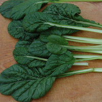 Mustard Tatsoi Seed