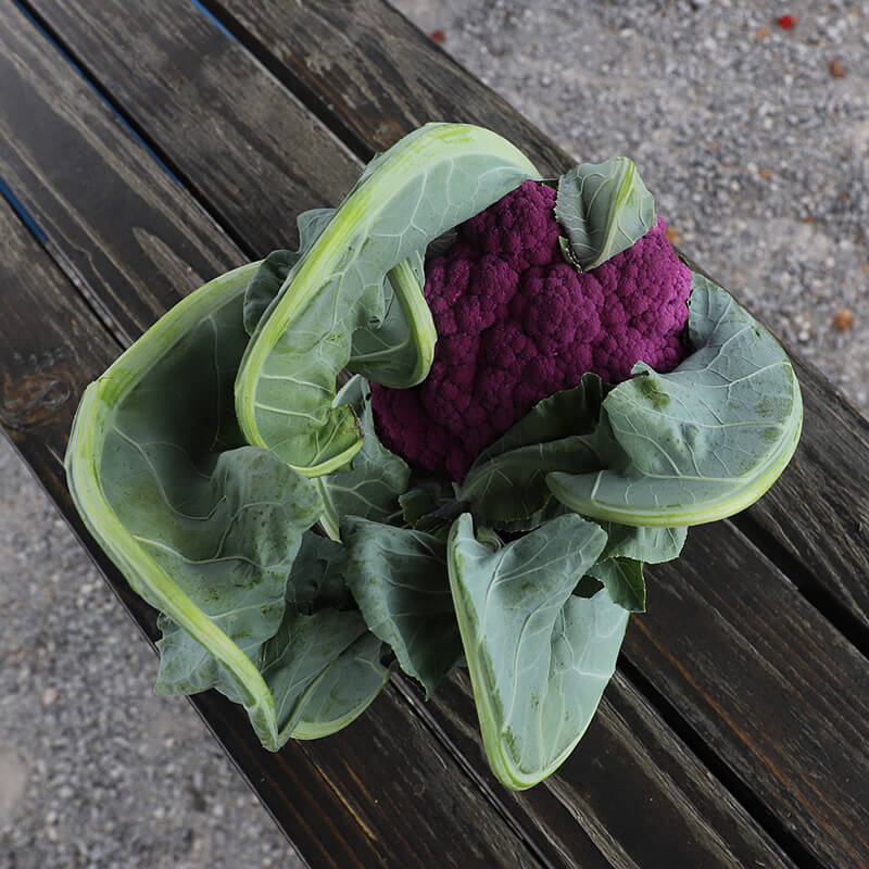 Cauliflower Graffiti F1 Seed