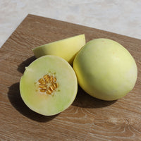 Melon Earli Dew F1 Seed