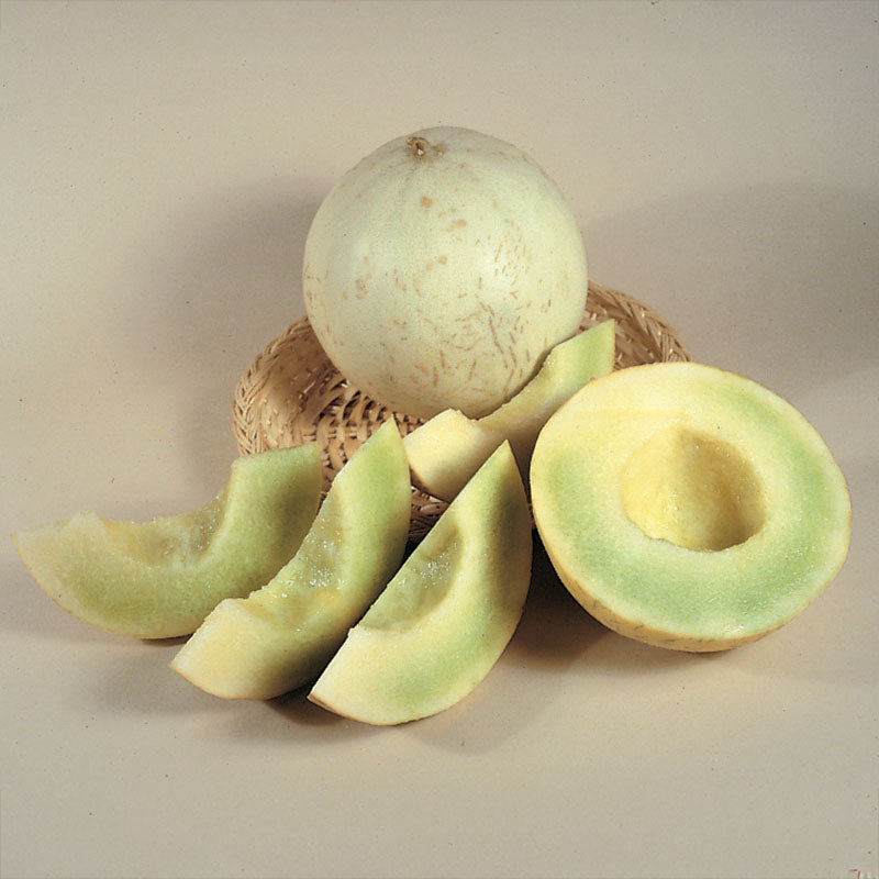 Melon Earli Dew F1 Seed