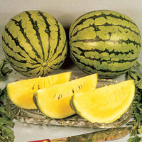 Watermelon Yellow Doll F1 Seed