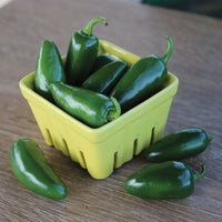 Pepper Jalapeno M Seed