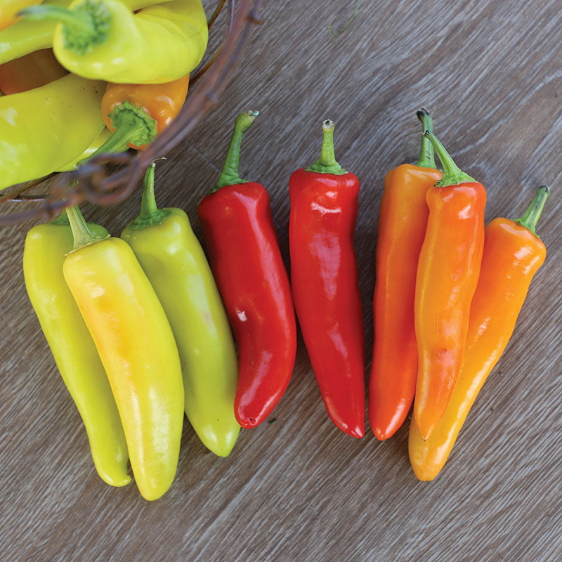 Pepper Hungarian Wax Seed