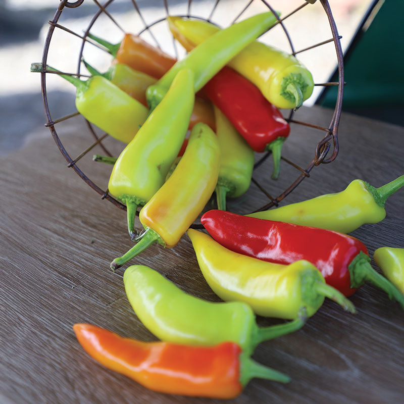 Pepper Hungarian Wax Seed