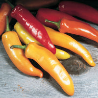 Pepper Hungarian Wax Seed