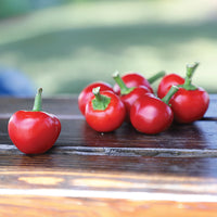 Pepper Large Red Cherry Hot Seed