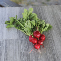 Radish Cherry Belle Seed
