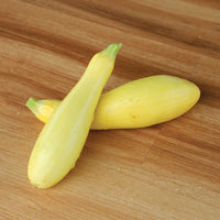 Squash Lioness F1 Seed