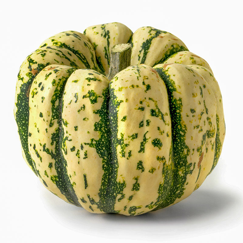 Squash Sweet Dumpling Seed
