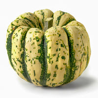 Squash Sweet Dumpling Seed