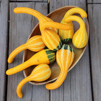 Gourd Spoon